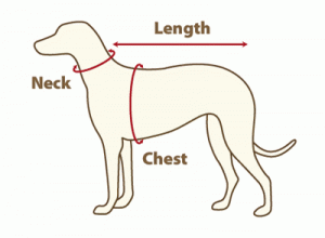 Finn riktig størrelse på halsbånd til hunden din.